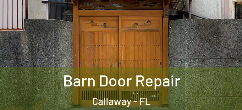  Barn Door Repair Callaway - FL