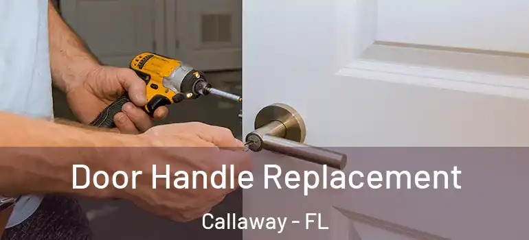  Door Handle Replacement Callaway - FL