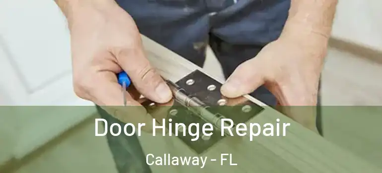  Door Hinge Repair Callaway - FL