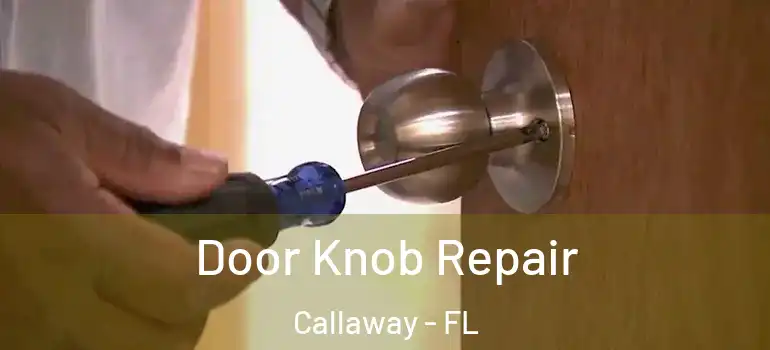  Door Knob Repair Callaway - FL