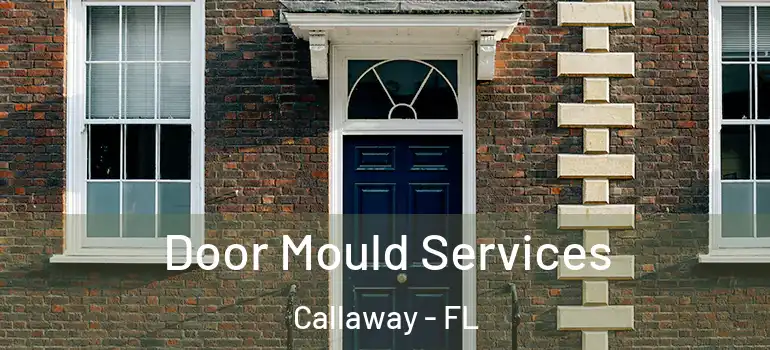 Door Mould Services Callaway - FL