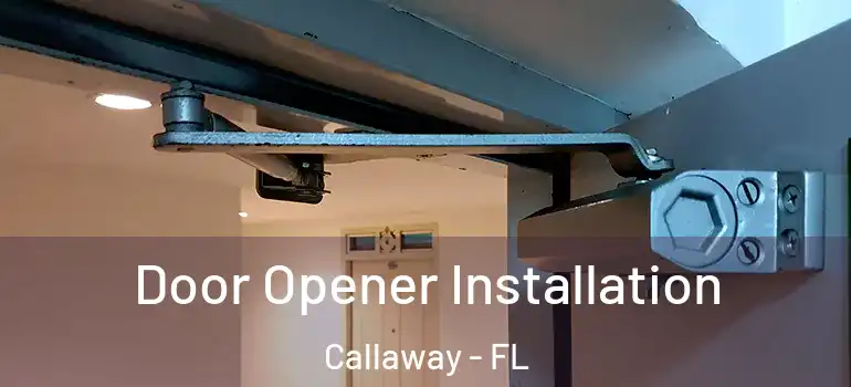  Door Opener Installation Callaway - FL