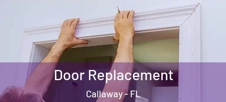  Door Replacement Callaway - FL