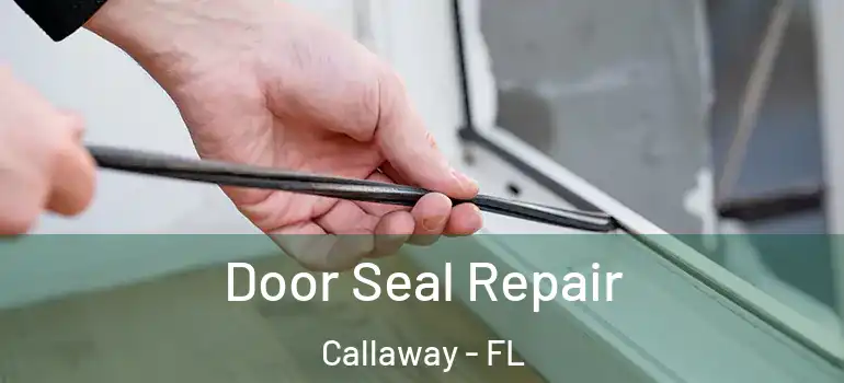  Door Seal Repair Callaway - FL