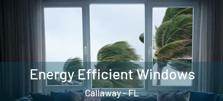  Energy Efficient Windows Callaway - FL