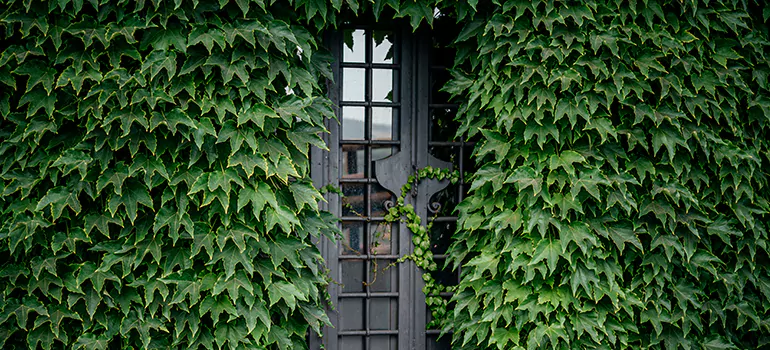 Garden Gate Repair in Callaway, FL