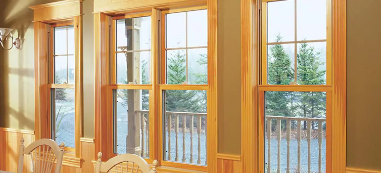 Government Incentives For Replacement Windows in Callaway, FL