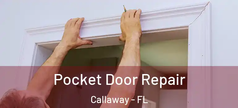 Pocket Door Repair Callaway - FL