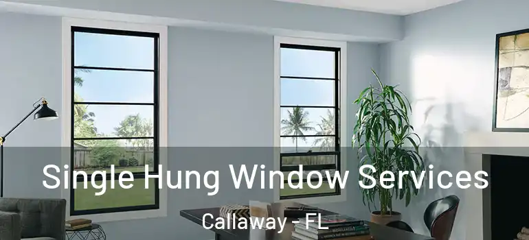  Single Hung Window Services Callaway - FL
