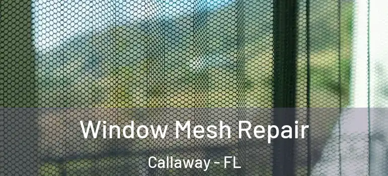  Window Mesh Repair Callaway - FL