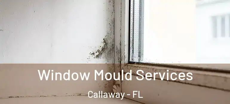  Window Mould Services Callaway - FL