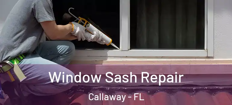  Window Sash Repair Callaway - FL