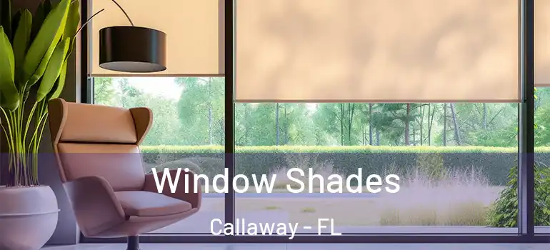  Window Shades Callaway - FL