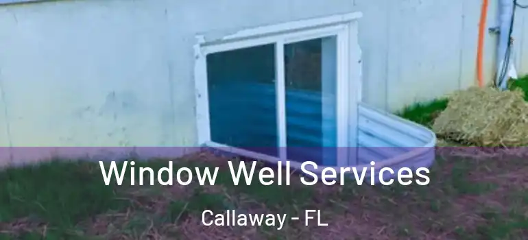  Window Well Services Callaway - FL